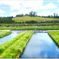 PVP wastewater treatment works