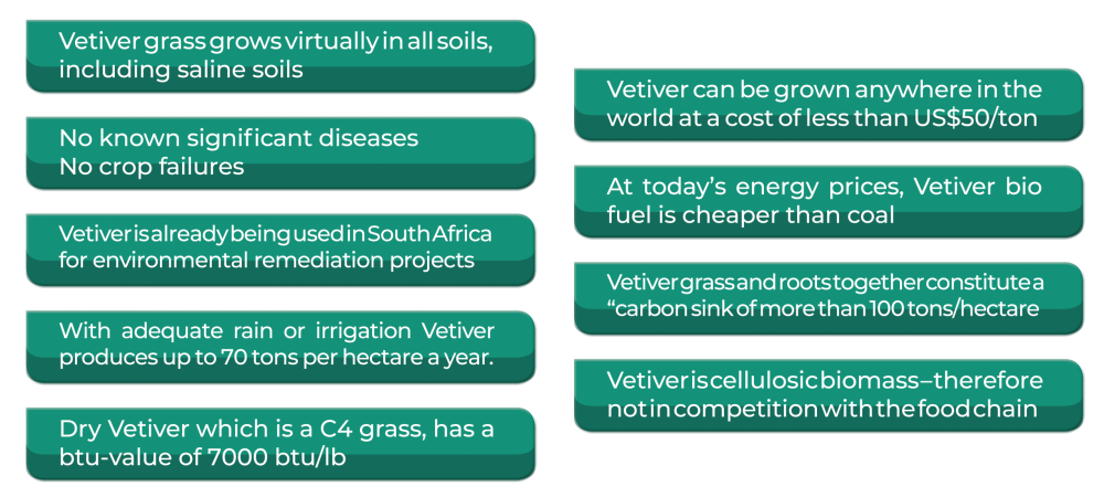 Vetiver advantages